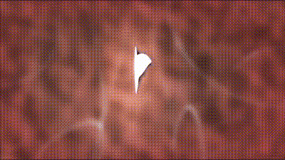 迷情 1 动图预览 - 私房ACG - sifacg.com