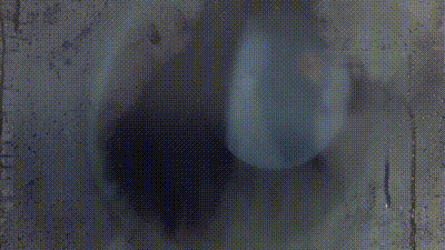 [GS_mel] Lucia FJ 动图预览 - 私房ACG - sifacg.com