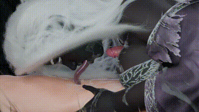 [HowlSFM] Recluse [1080p] 动图预览 - 私房ACG - sifacg.com