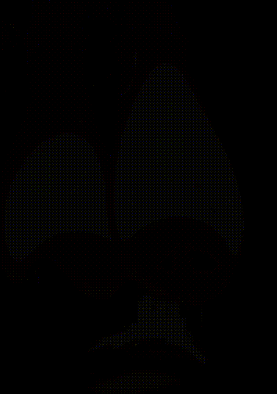 [Zenokidon] Ade: Agent Rabbit(NIKKE)🍀🐇 🎁🎁 ラビットエード(NIKKE)の新作アニメ🥰(ボイス付フル2D手描きアニメ動画🎥) 动图预览 - 私房ACG - sifacg.com