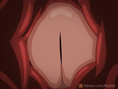 [MujitaX] Heroaca Mirko 动图预览 - 私房ACG - sifacg.com