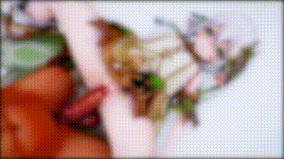 [dlaldn] 6.納西妲 动图预览 - 私房ACG - sifacg.com