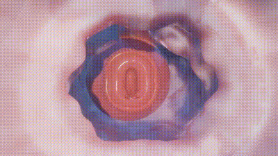 [湖畔の家] ちょっと休んでただけなのに 动图预览 - 私房ACG - sifacg.com