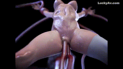 [A Third Dimension] ～little ballerina～ HINA BITCH!2EX(EXTENDED BAD ENDING) 动图预览 - 私房ACG - sifacg.com