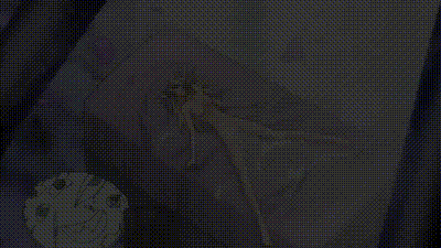 裝甲騎女伊莉絲 3 动图预览 - 私房ACG - sifacg.com