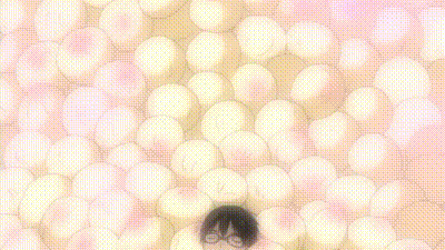 淫笑的看護婦 2 动图预览 - 私房ACG - sifacg.com