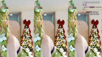 2025-11-27_03-23-52 - sooflower- 动图预览 - 私房ACG - sifacg.com