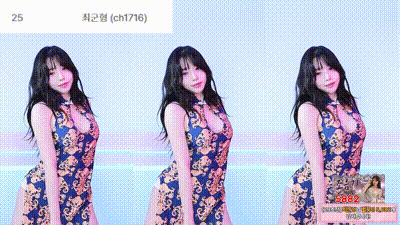 2025-11-11_02-58-57 - chohw7946 动图预览 - 私房ACG - sifacg.com