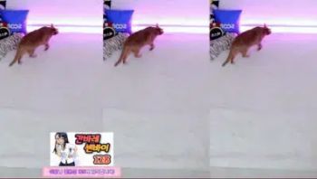 2025-06-13_03-59-43 - ing09098 - 私房ACG - sifacg.com