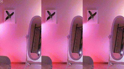 sexy korean bj 2025-06-06_06-02-47 - aidaid00 动图预览 - 私房ACG - sifacg.com