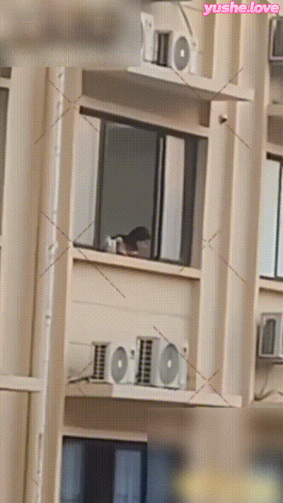 东南亚园区女猪仔悲惨实拍 业绩不达标沦为玩物 挨打挨操被疯狂蹂躏 画面极度炸裂！ 动图预览 - 私房ACG - sifacg.com