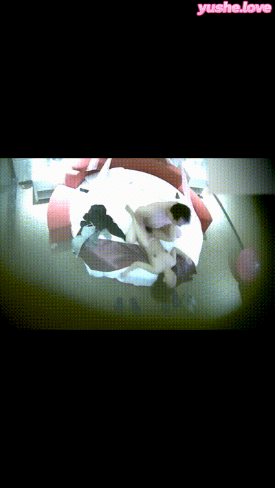 喜剧影帝 【沈腾 】与林允秘恋曝光 隐婚生子轰动全网 三亚同游赠送房产 核心站姐销号后流出不雅视频！ 动图预览 - 私房ACG - sifacg.com