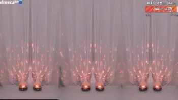 KBJ 하루S2 sol3712 11-12-22 (4) - 私房ACG - sifacg.com