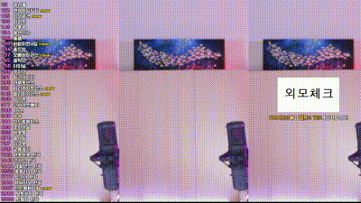 2025-02-28_19-41-26 - crazycatsss 动图预览 - 私房ACG - sifacg.com