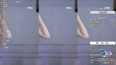 2025-02-20_12-46-47 - whdbwjd1010 动图预览 - 私房ACG - sifacg.com