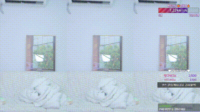 2024-08-01_05-34-36 - jeehyeonlee 动图预览 - 私房ACG - sifacg.com