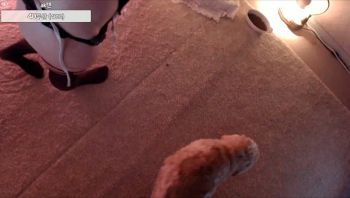 2026-01-23_07-00-29 - pinktension - 私房ACG - sifacg.com