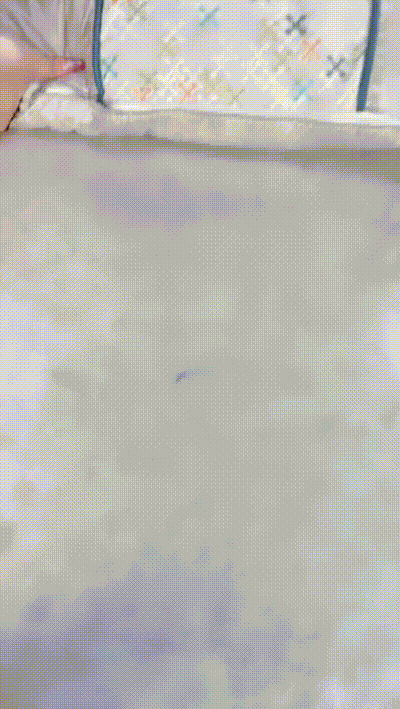 在家享受姊妹丼 美女姐姐和白嫩小姨子 动图预览 - 私房ACG - sifacg.com