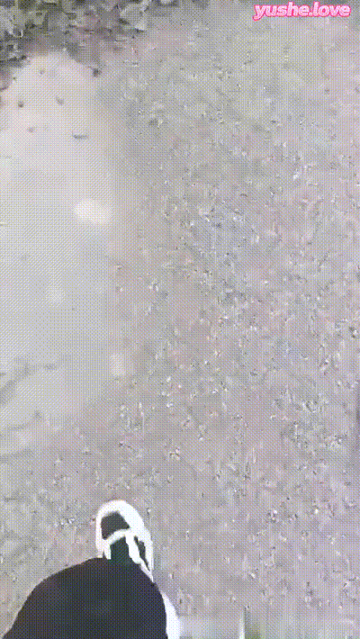 户外与嫂子乱伦操的嫂子淫水直喷 动图预览 - 私房ACG - sifangacg.com