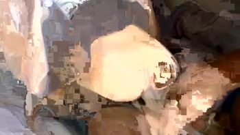 可惜了_亚洲巨乳美女教师媚黑婊大黑鸟沉迷其中无法自拔 - 私房ACG - sifacg.com