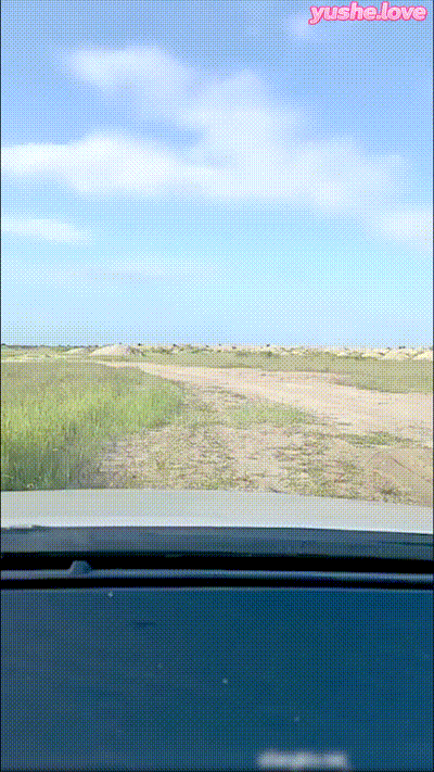 和哥哥野外开战 动图预览 - 私房ACG - sifacg.com