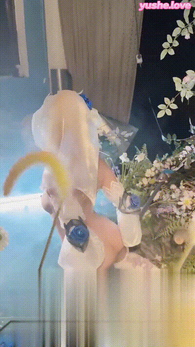 爆机少女喵小吉 拉克丝 动图预览 - 私房ACG - sifacg.com