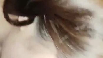 美女老板觊觎我的美色在车上主动脱下裤子露出骚逼勾引我 车震暴力抽插无套内射极品骚逼 - 私房ACG - sifacg.com