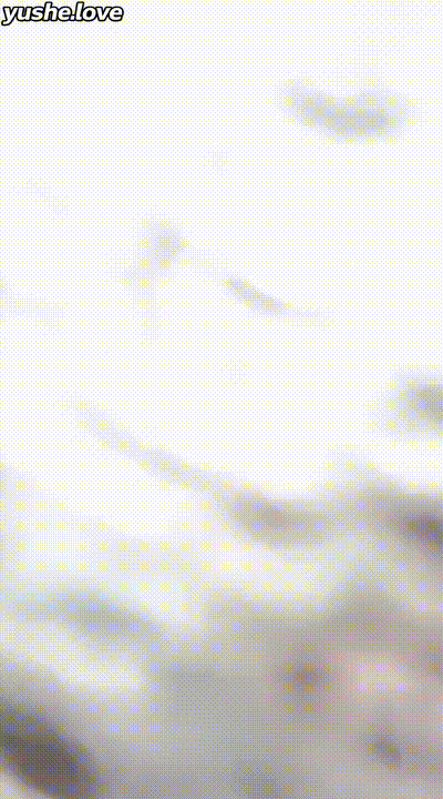 真实姐弟乱伦车震 骚货姐姐车上勾引亲弟弟 粗壮大鸡巴插入姐姐骚逼激烈撞击抽插配合姐姐娇喘让人欲罢不能 动图预览 - 私房ACG - sifacg.com