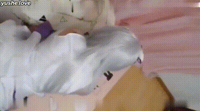 疑似某音cos主播艾米莉亚cos装和男友性爱突破 动图预览 - 私房ACG - sifacg.com