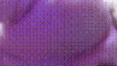 巨乳模特沦为金主的专属母狗性奴，捆绑调教 乳夹抽打 各种道具摧残玩弄 手脚都被绑住用嘴口交颜射 动图预览 - 私房ACG - sifacg.com