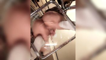 推特网红肉肉萝莉，最新开始漏B了，自慰喷水萝莉白虎学生自慰 - 私房ACG - sifangacg.com