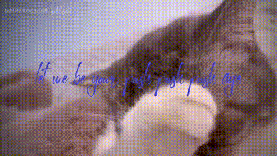 Guys! I’m taking over the account while mom’s in school！-i am neko 03 动图预览 - 私房ACG - sifacg.com