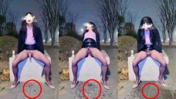 骚货伪娘是如何把公园的人行道弄湿的？-yuanladyboy - 私房ACG - sifangacg.com
