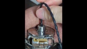 用发声玩具双重穿透我的笼子-skylar737 - 私房ACG - sifacg.com