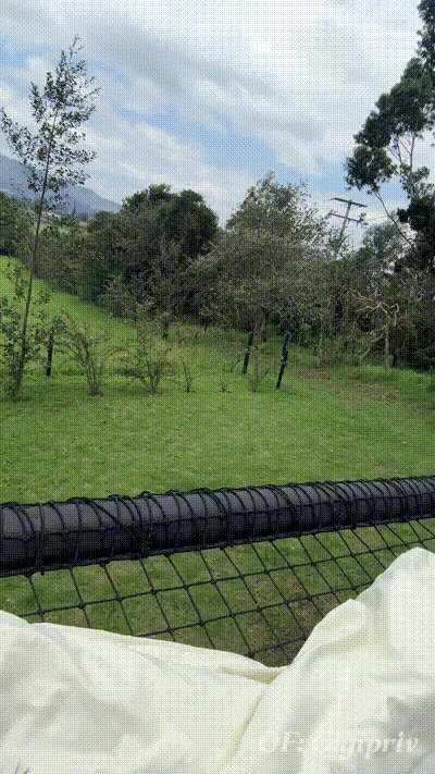 Mis vecinos me observaban mientras me masturbo al aire libre-gigi ulala y mr dick 动图预览 - 私房ACG - sifacg.com