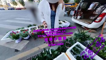 路边摊购物，裙底真空+情趣内衣合集-xgxmm95 - 私房ACG - sifacg.com