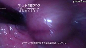 【 小狗PRO 】重口味花式调教 反差拳交 xhs33.top 开发屁眼合集 (33) - 私房ACG - sifacg.com