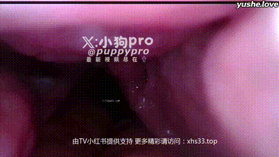 【 小狗PRO 】重口味花式调教 反差拳交 xhs33.top 开发屁眼合集 (33) 动图预览 - 私房ACG - sifacg.com