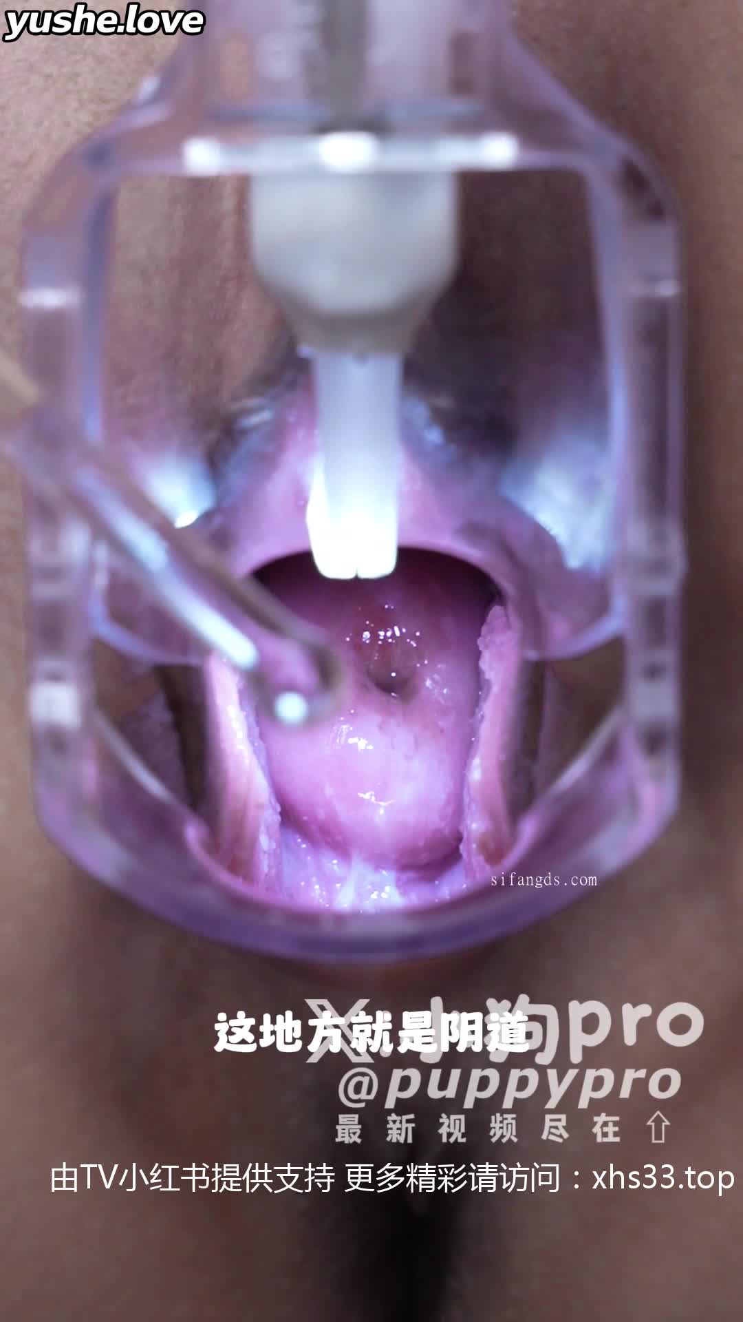 视频详情图 3 - 私房ACG - sifacg.com