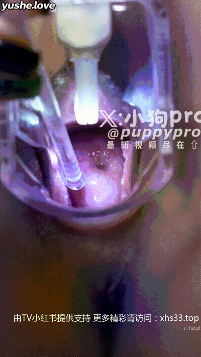 【 小狗PRO 】重口味花式调教 反差拳交 xhs33.top 开发屁眼合集 (61) 动图预览 - 私房ACG - sifacg.com