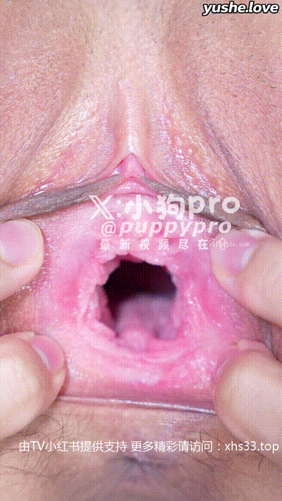 【 小狗PRO 】重口味花式调教 反差拳交 xhs33.top 开发屁眼合集 (72) 动图预览 - 私房ACG - sifacg.com