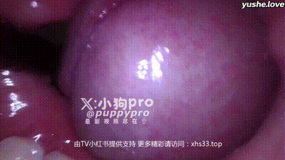 【 小狗PRO 】重口味花式调教 反差拳交 xhs33.top 开发屁眼合集 (81) 动图预览 - 私房ACG - sifacg.com