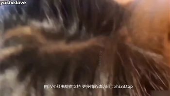 娇艳美少妇熟女和情夫幽会偷情兔女郎装扮激情口交做爱_HD 娇艳美少妇熟女和情夫幽会偷情兔女郎装 - 私房ACG - sifacg.com