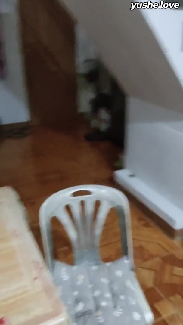 视频详情图 5
