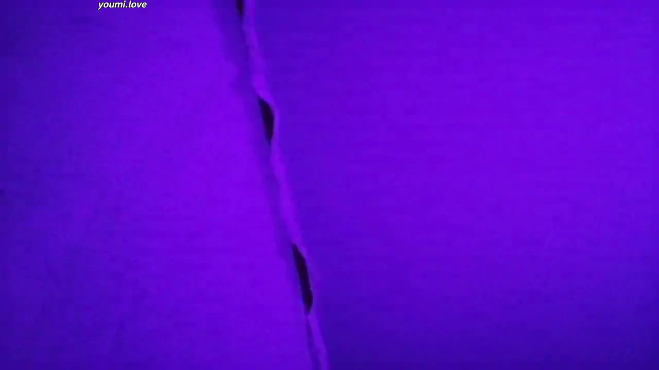 视频详情图 5