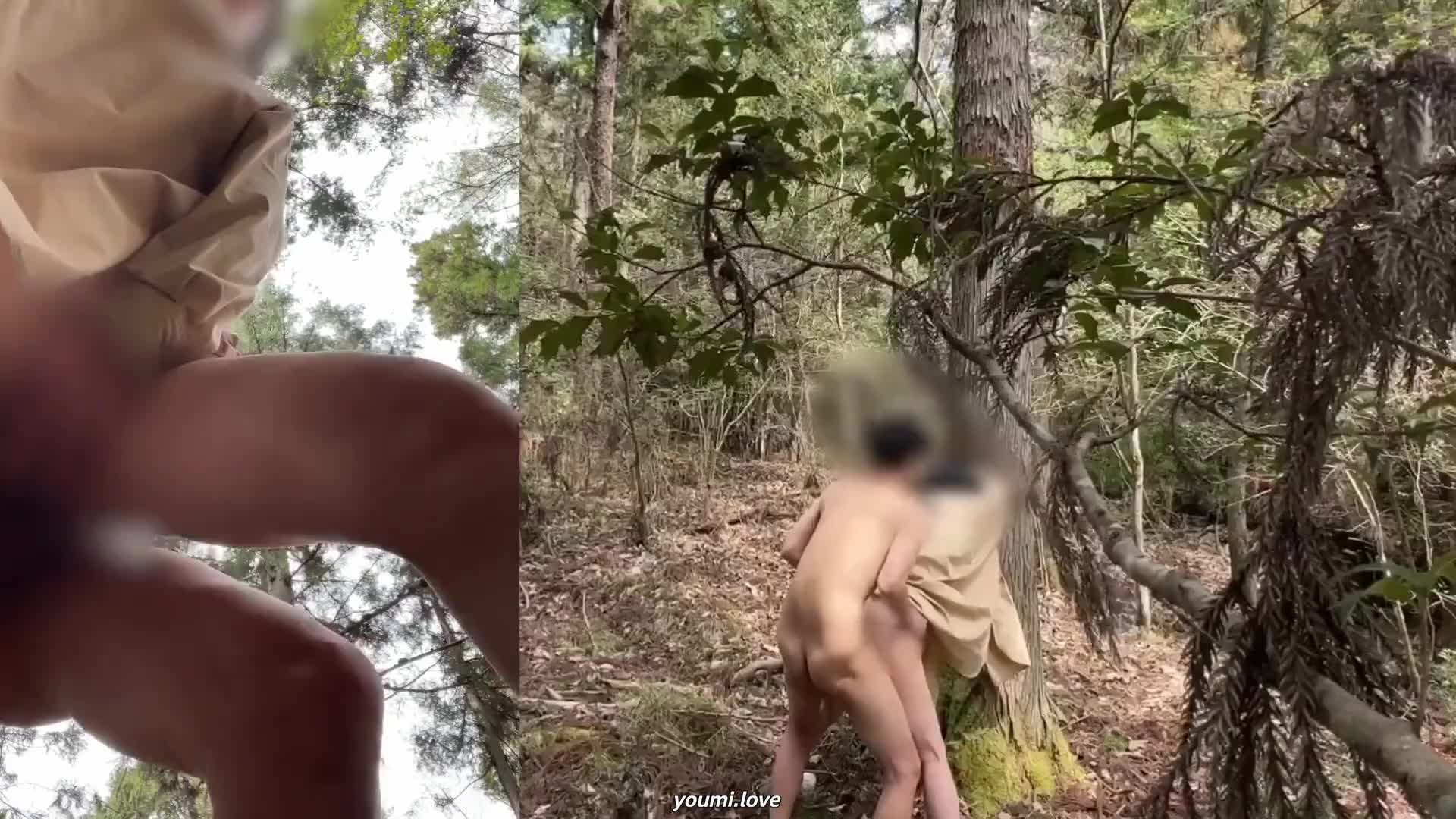 视频详情图 2