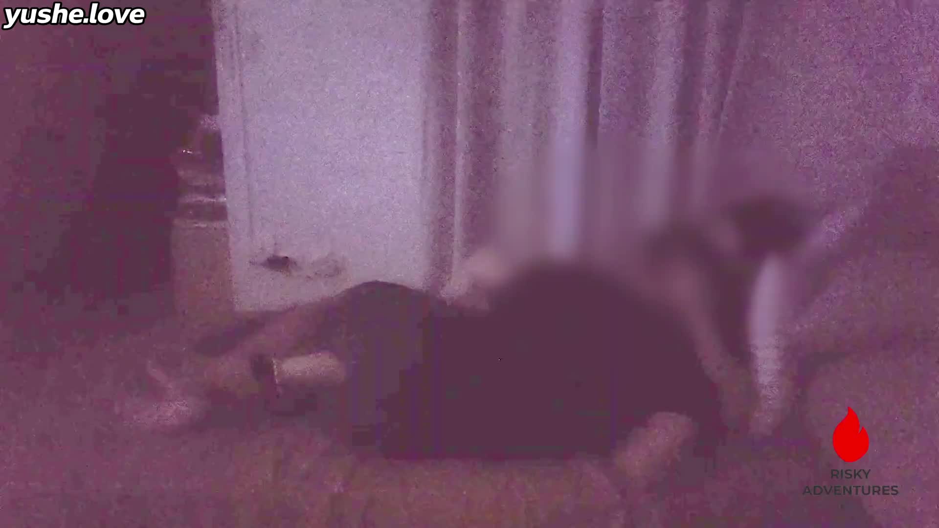 视频详情图 2